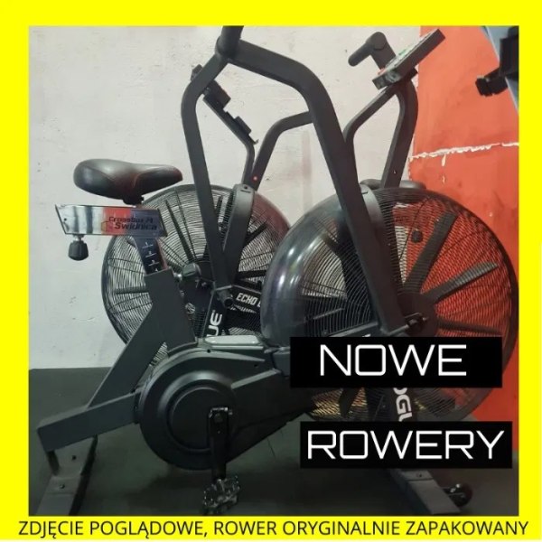 Rogue Echo Bike V3.0